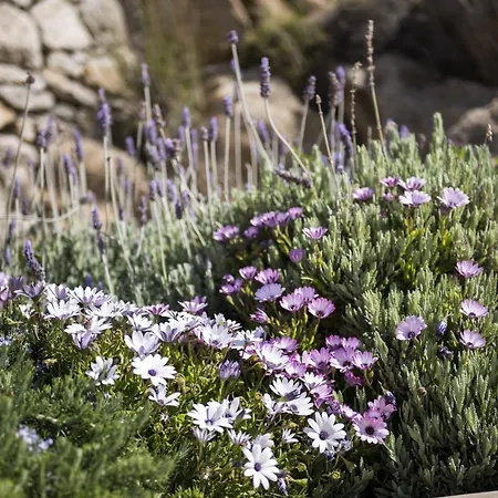 Вилла Newly Built Spectacular Sunset At St. John, Mykonos Agios Ioannis Diakoftis