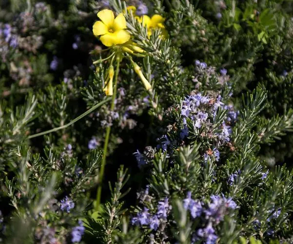 Newly Built Spectacular Sunset At St. John, Mykonos *