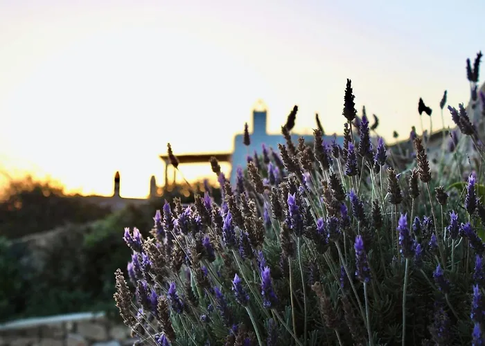 빌라 Newly Built Spectacular Sunset At St. John, Mykonos