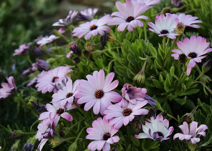 빌라 Newly Built Spectacular Sunset At St. John, Mykonos *