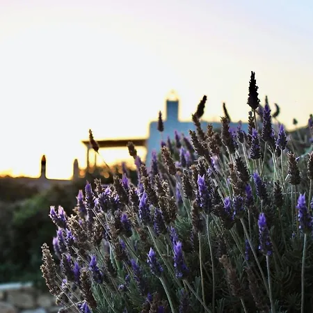 빌라 Newly Built Spectacular Sunset At St. John, Mykonos