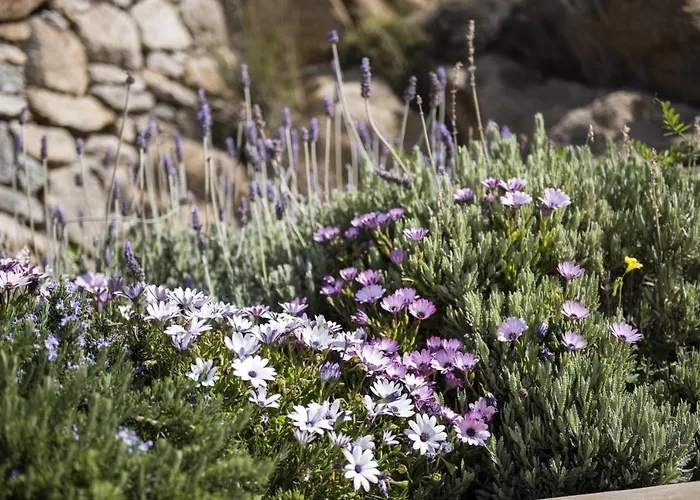 Villa Newly Built Spectacular Sunset At St. John, Mykonos Agios Ioannis Diakoftis